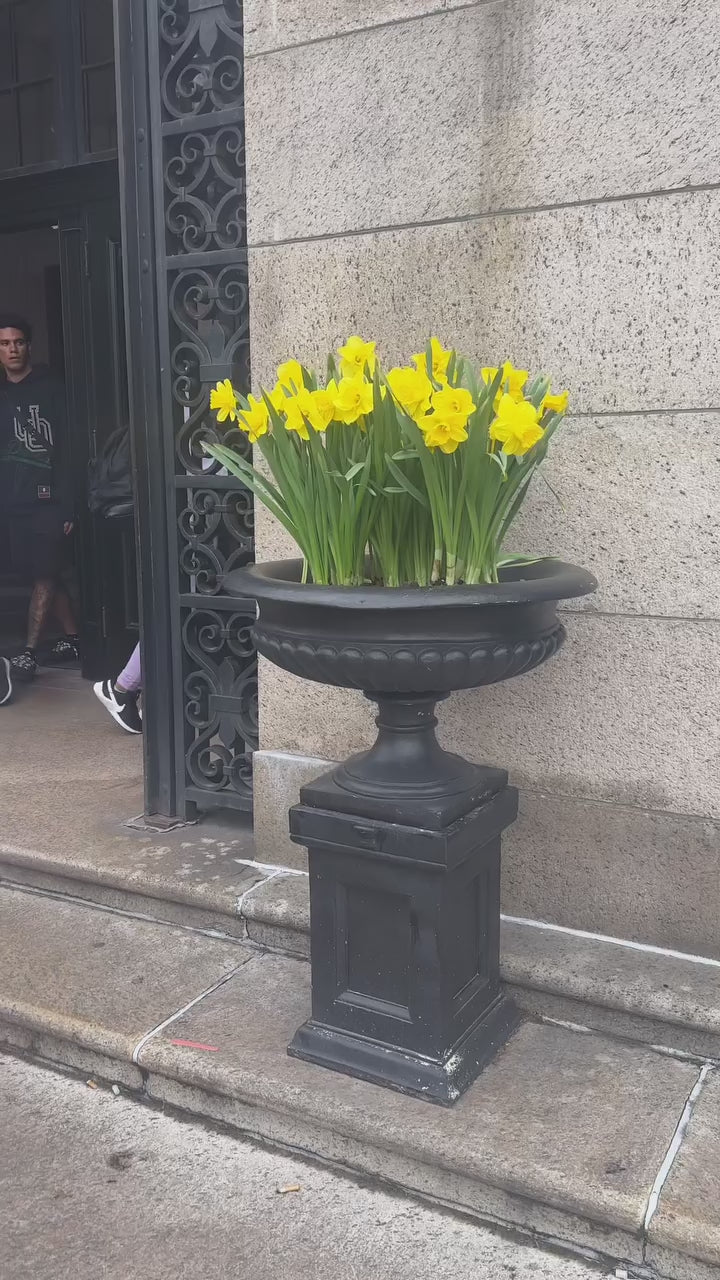 video-4