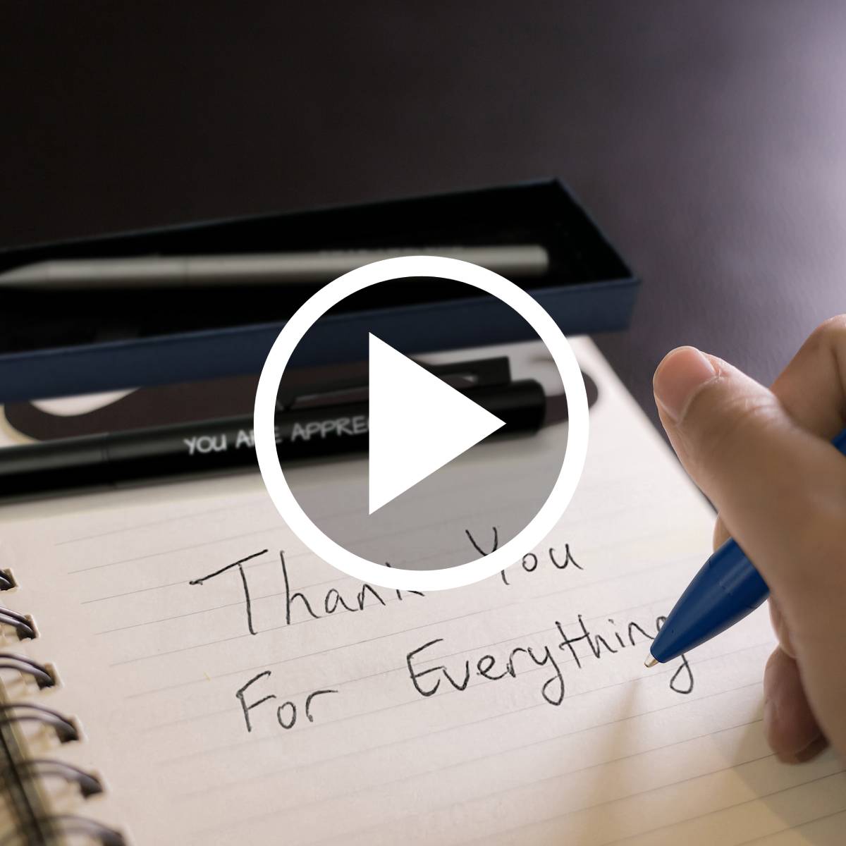 video-medium tip ballpoint pens-4