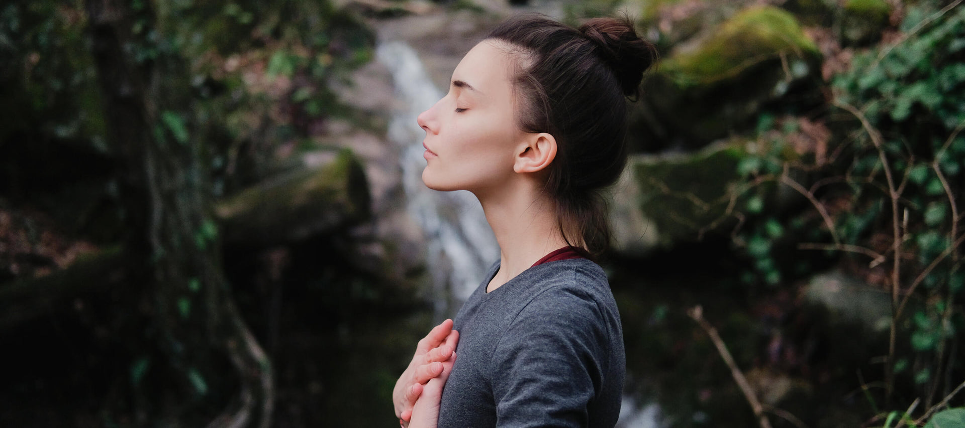 wellness-banner